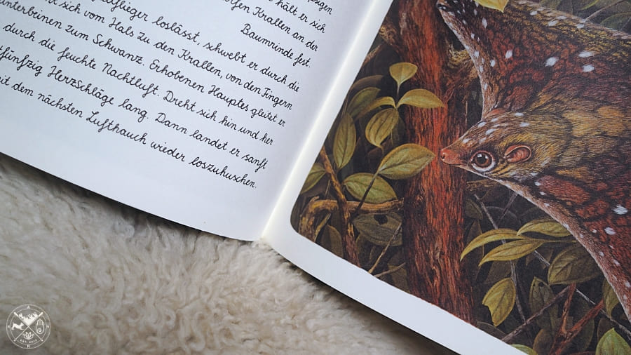 Die wundersamen Zwölf - Kuriose Säugetiere, die tatsächlich existieren Einblick in die Ilustrationen